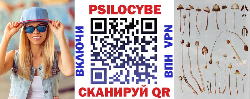 Галлюциногенные грибы мицелий  Купить  Ясный 