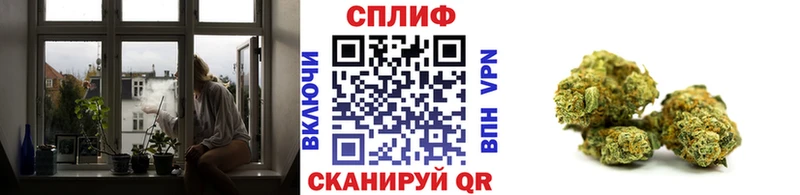 Купить  Ясный  Конопля Ganja 